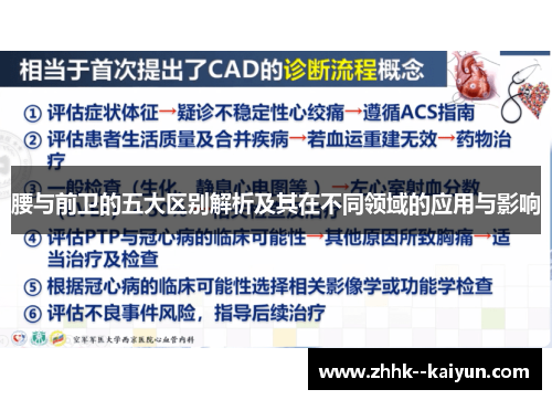 腰与前卫的五大区别解析及其在不同领域的应用与影响 腰与前卫的五大区别解析及其在不同领域的应用与影响