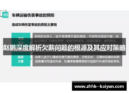 赵鹏深度解析欠薪问题的根源及其应对策略